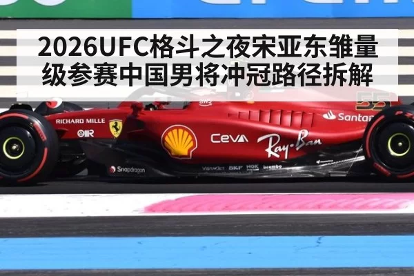 2026UFC格斗之夜宋亚东雏量级参赛中国男将冲冠路径拆解